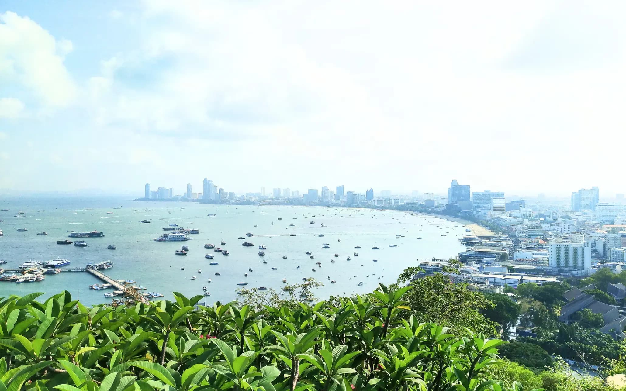 High-angle view of Pattaya Bay in Thailand with green plants in the foreground, boats on the water, and city buildings along the coastline.